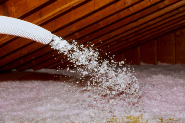 Trusted IA Insulation Contractor Experts