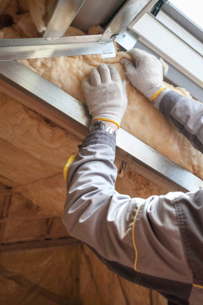 Best Insulation Maintenance and Repair in Ely, IA